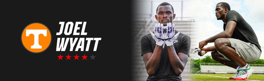 Joel Wyatt Collection