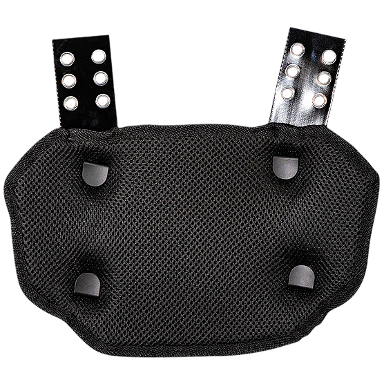 Phenom Elite Football Back Plate - Sonic the Hedgehog